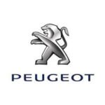 peugeot-speedboysgoiania